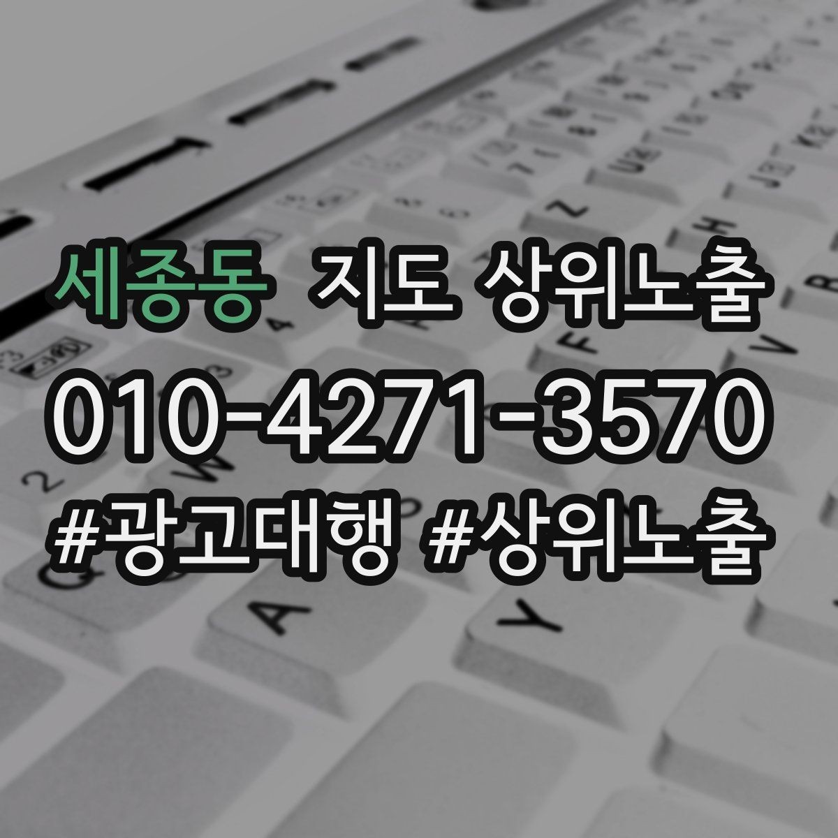 세종동 지도 상위노출 긴급 수요 업종의 프로필 구성 포인트