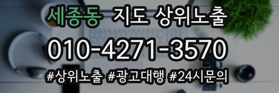 세종동 지도 상위 노출