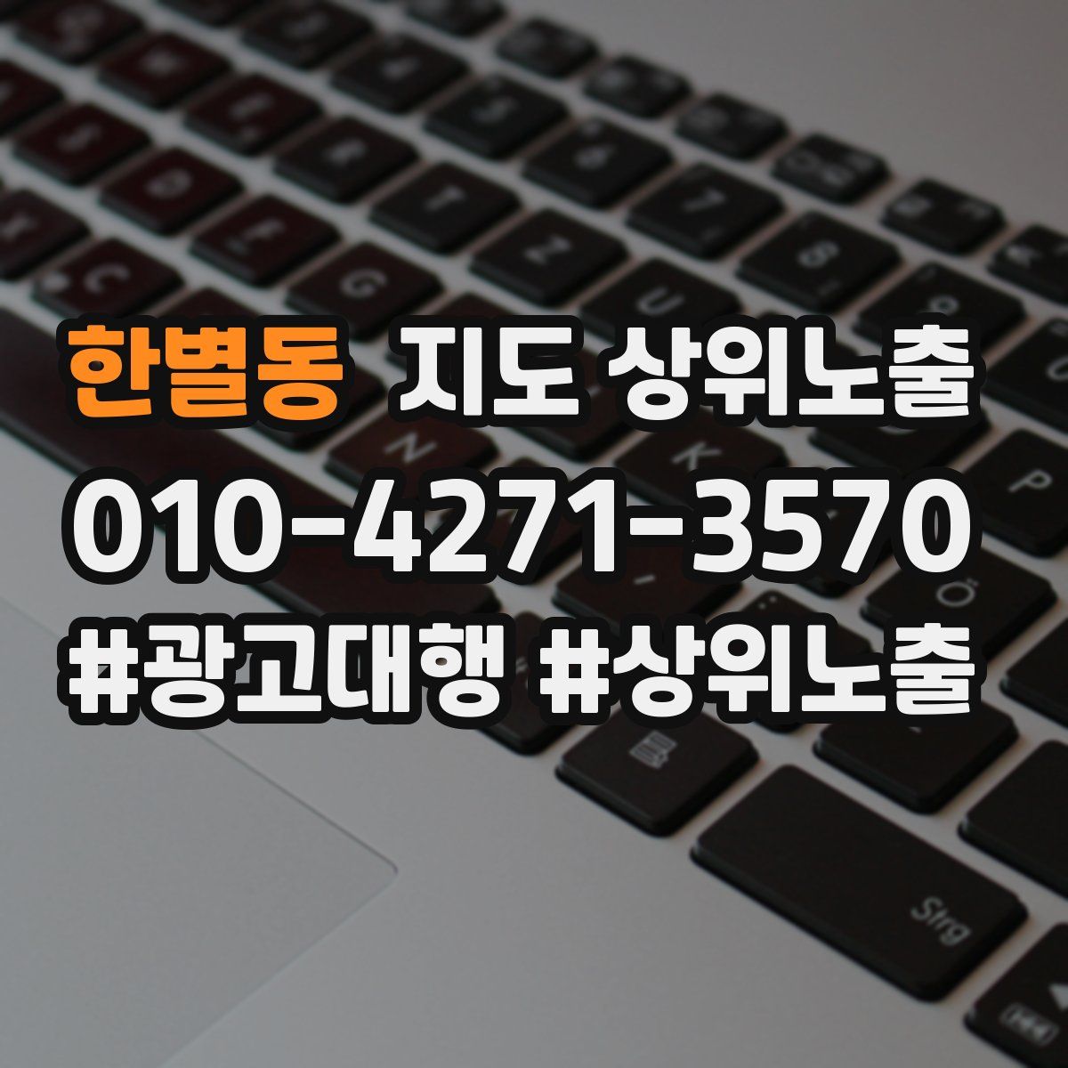한별동 지도 상위 노출