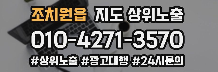 조치원읍 지도 상위 노출