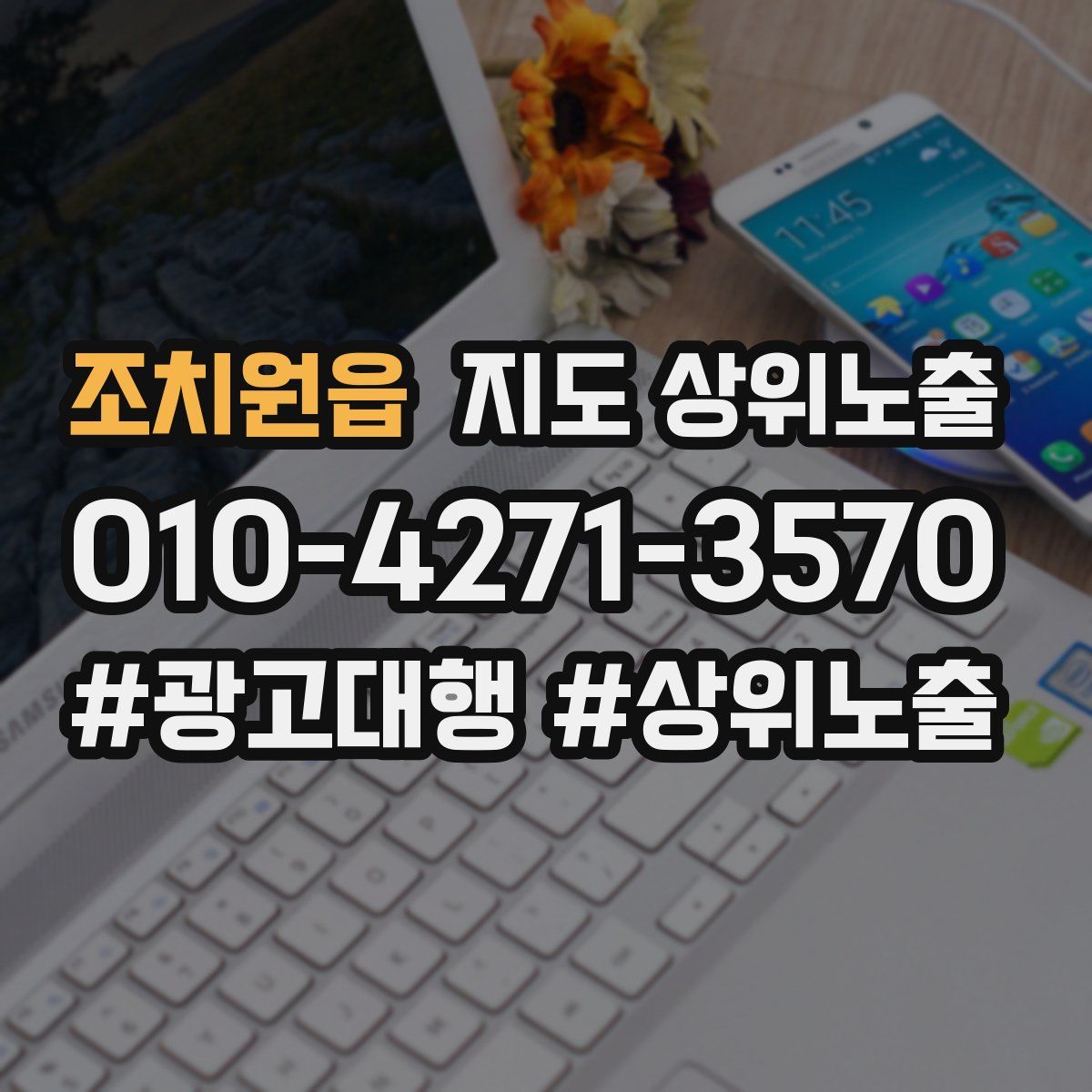 조치원읍 지도 상위 노출
