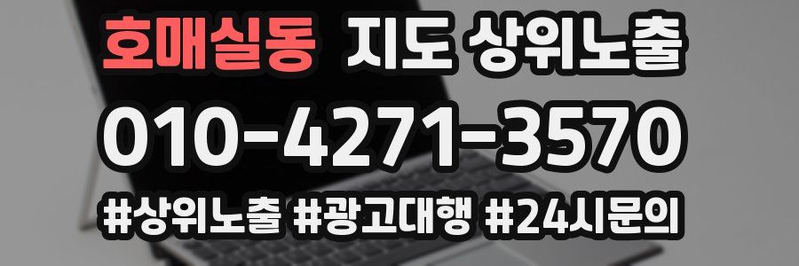 호매실동 지도 상위 노출
