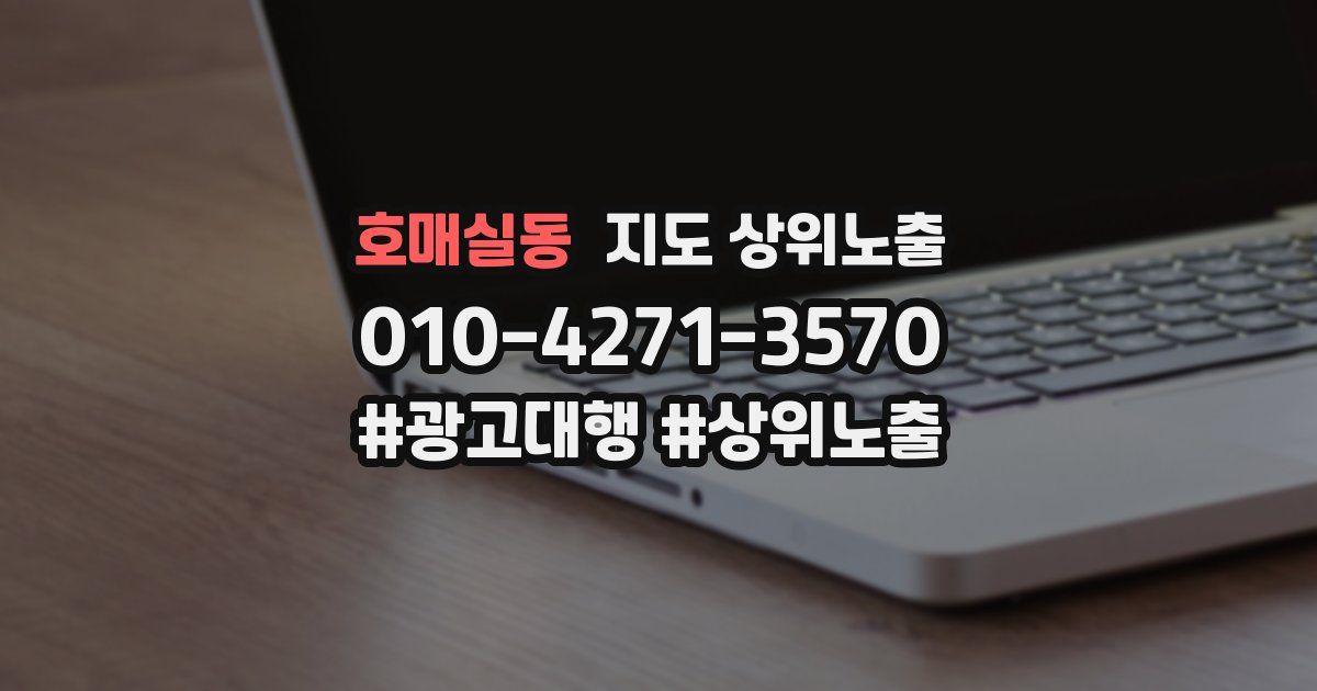 호매실동 지도 상위 노출