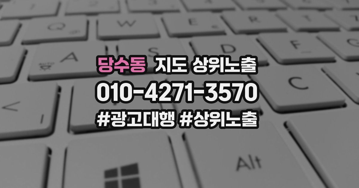 당수동 지도 상위 노출