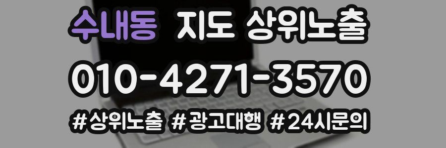 수내동 지도 상위 노출