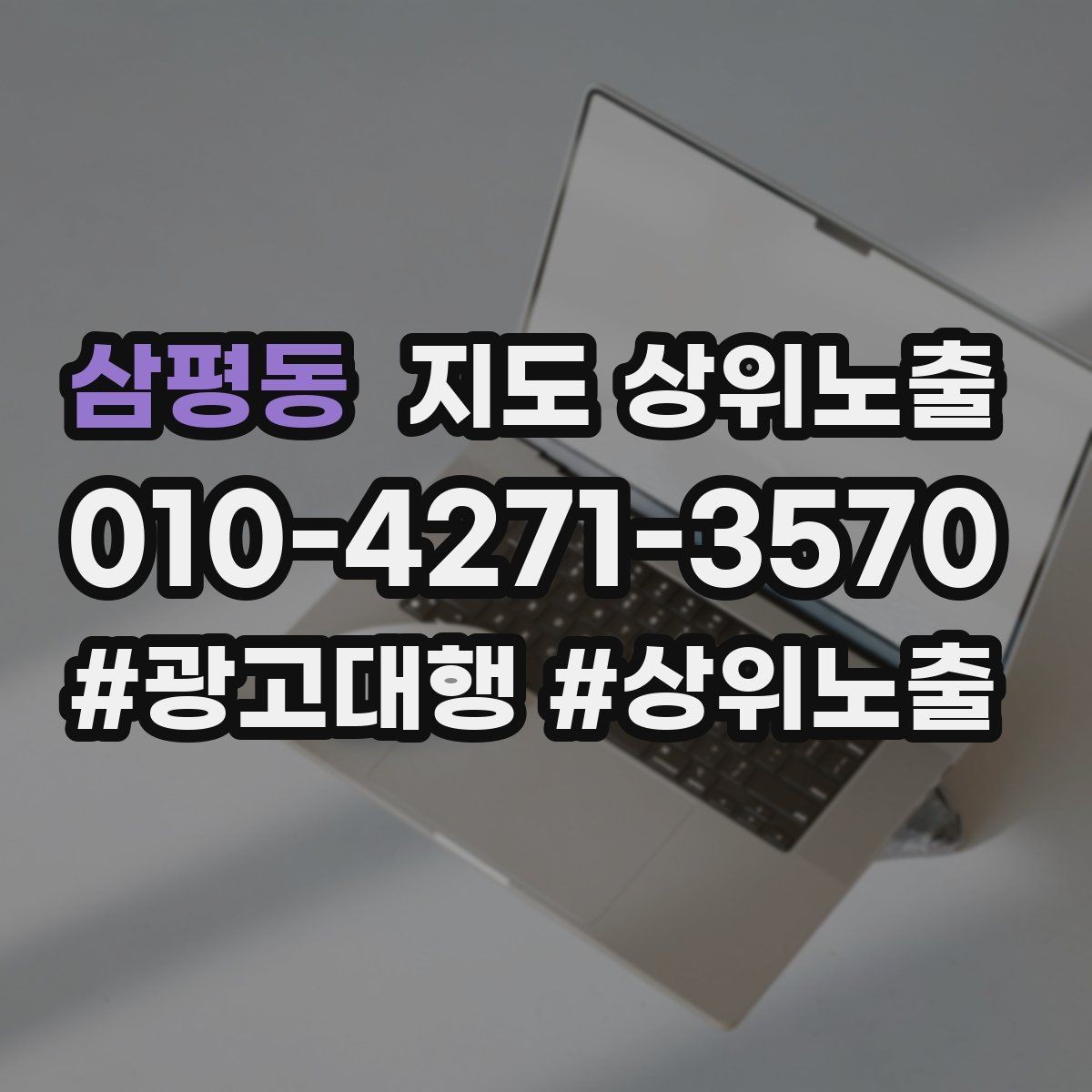 삼평동 지도 상위노출 결과를 좌우하는 핵심 요소