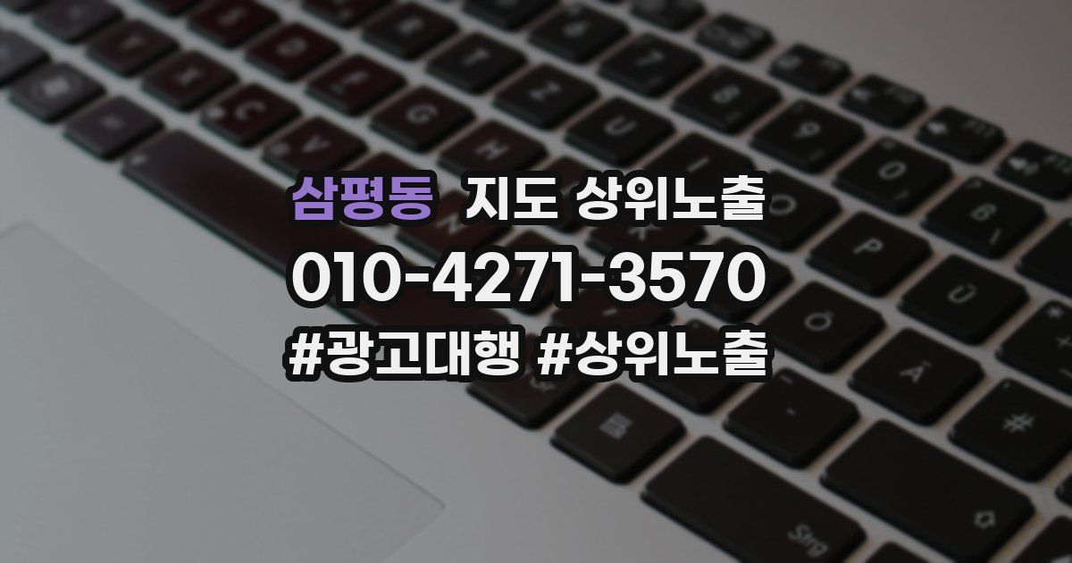 삼평동 지도 상위 노출