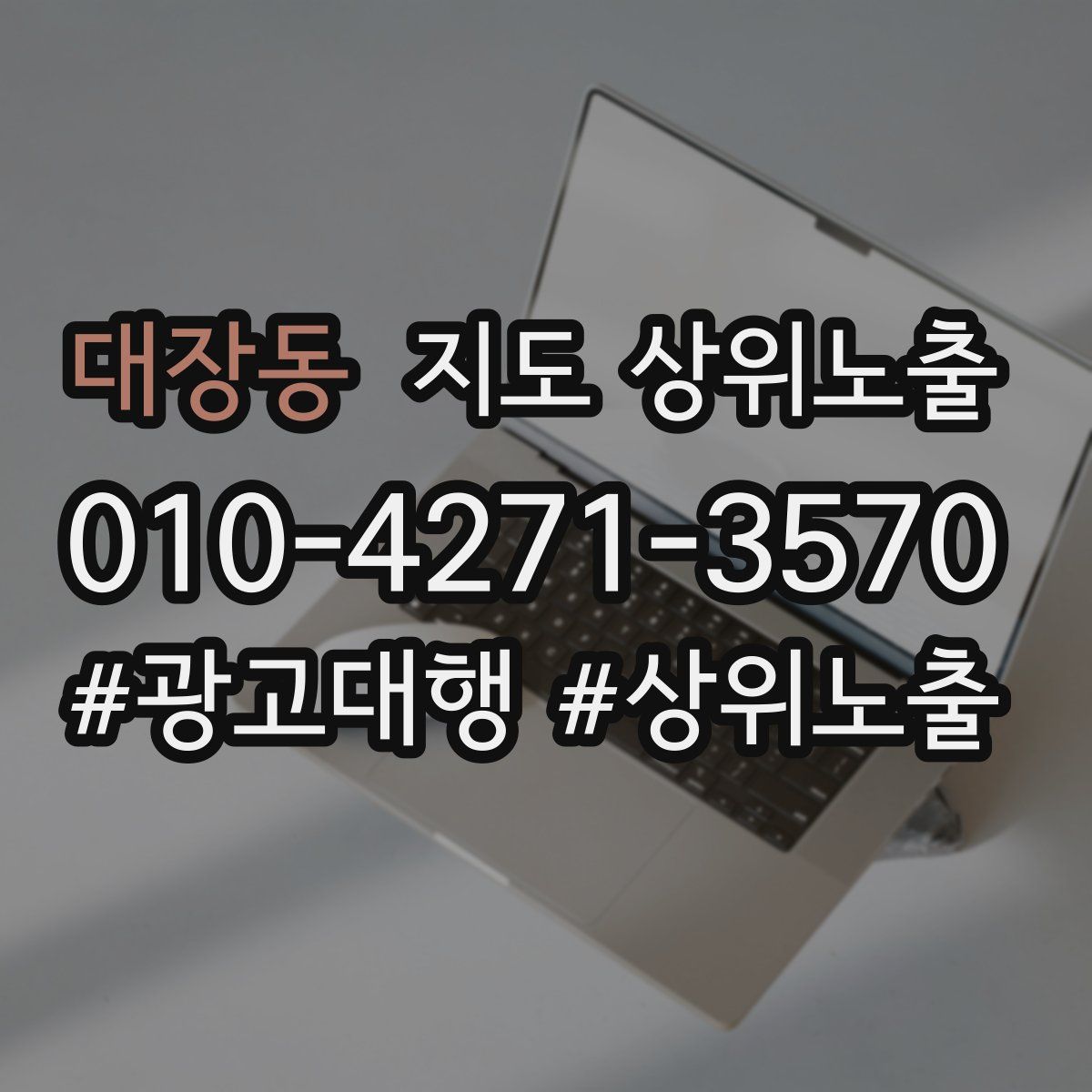 대장동 지도 상위 노출