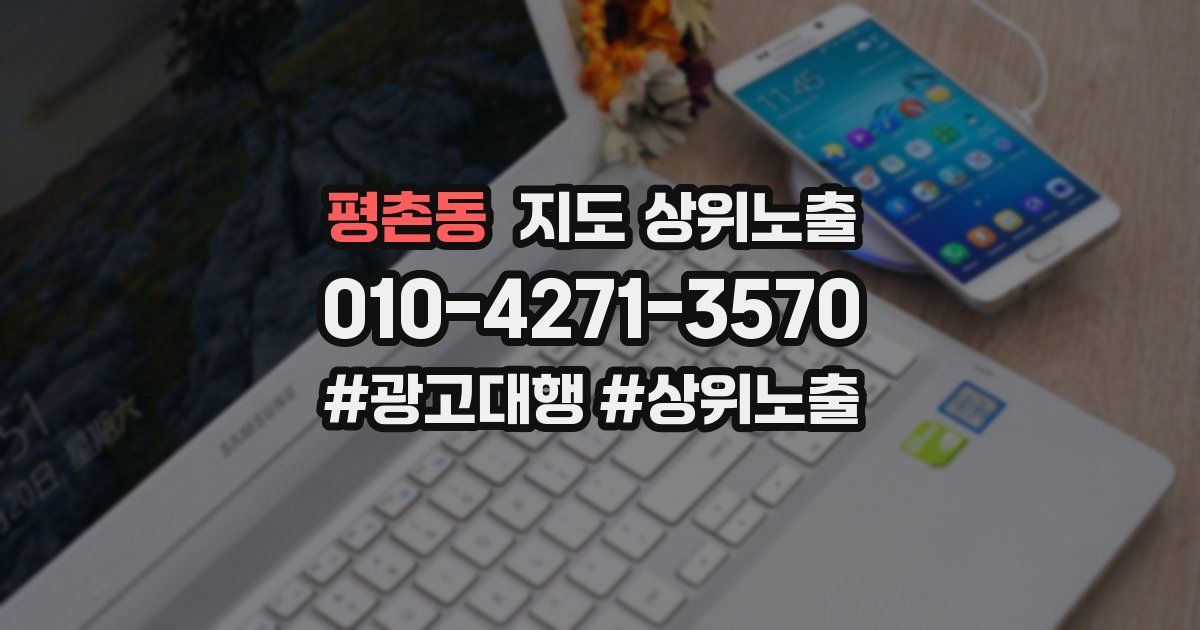 평촌동 지도 상위 노출