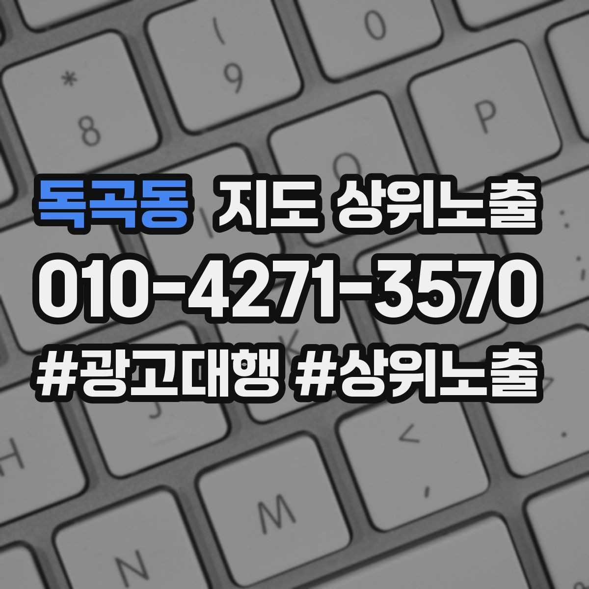 독곡동 지도 상위노출 효과를 높이는 기본 점검 사항