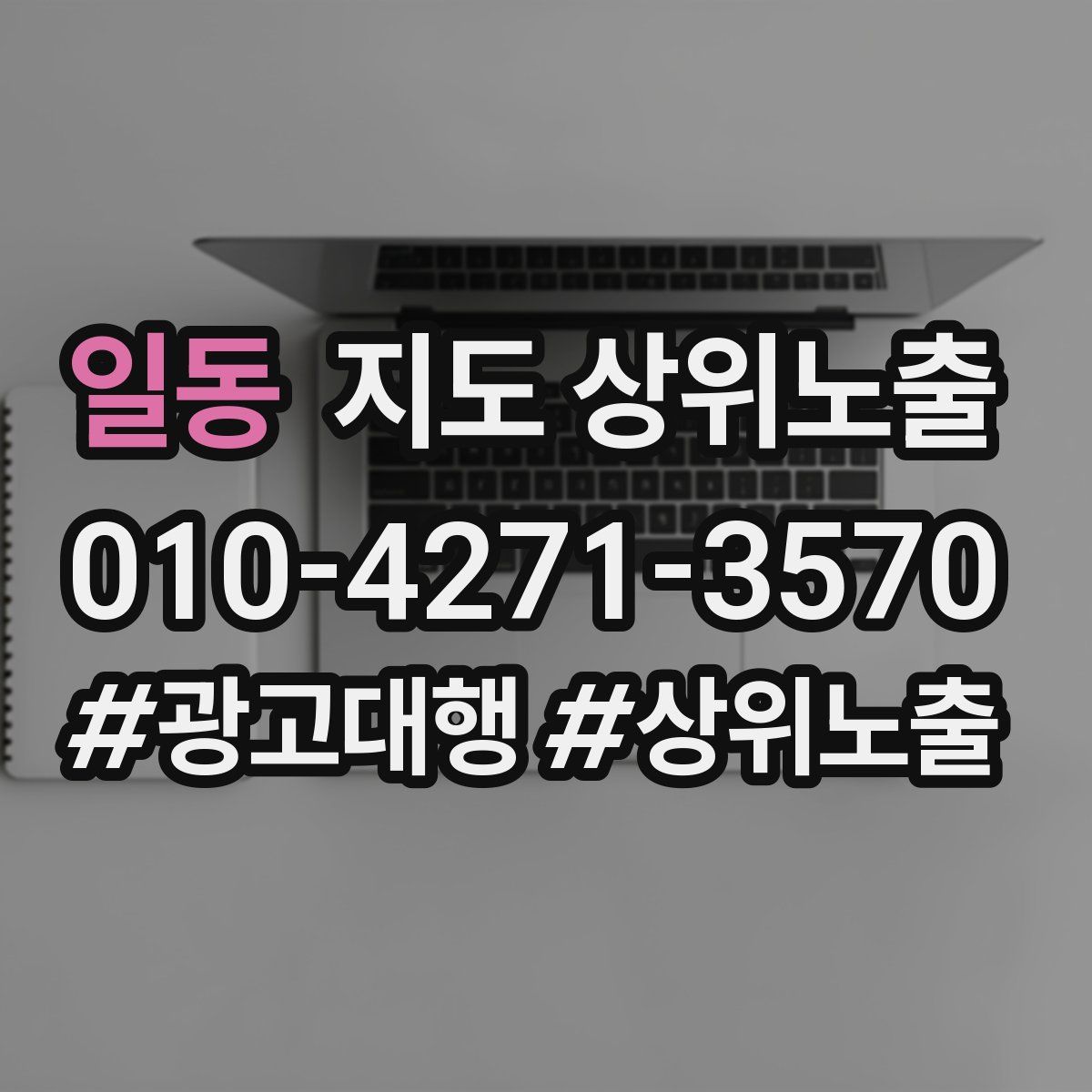 일동 지도 상위 노출