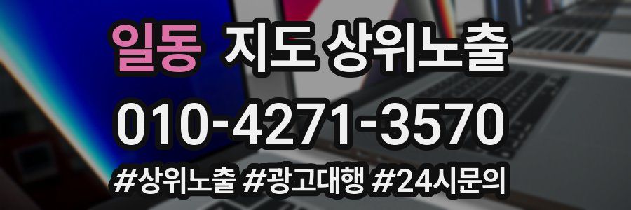 일동 지도 상위 노출