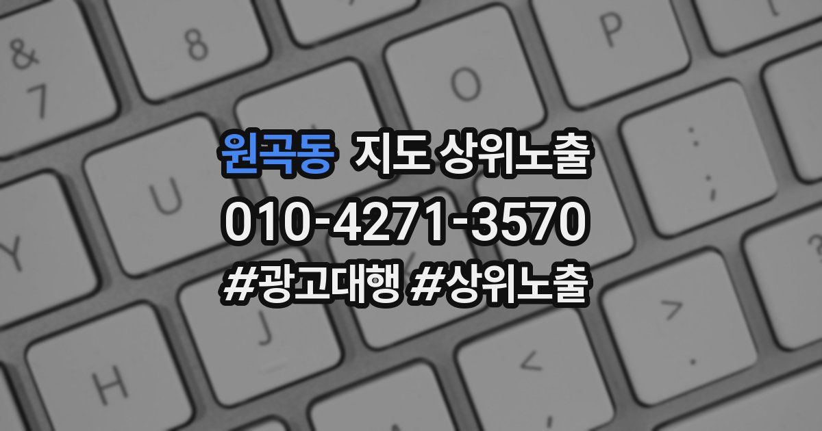 원곡동 지도 상위 노출