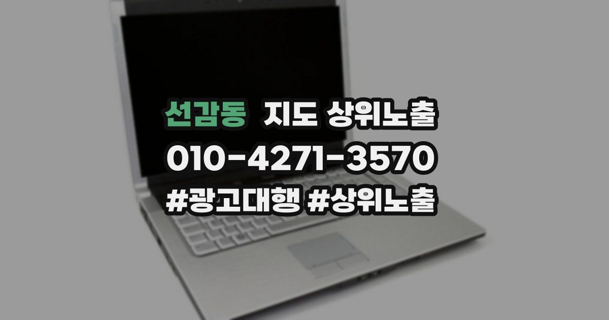 선감동 지도 상위 노출