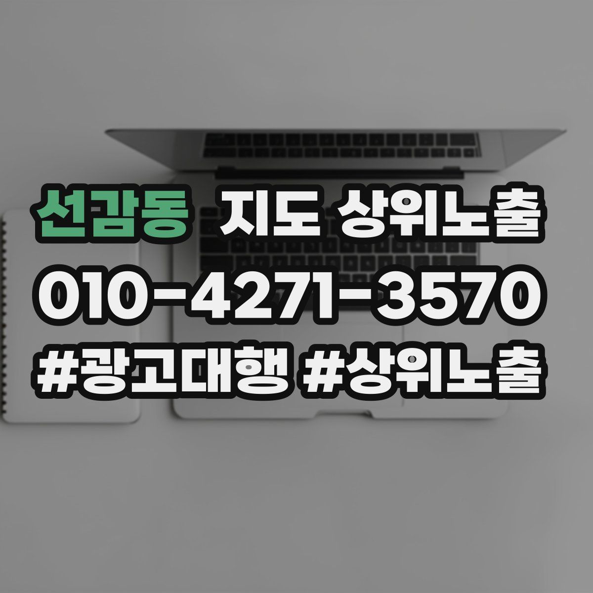 선감동 지도 상위 노출