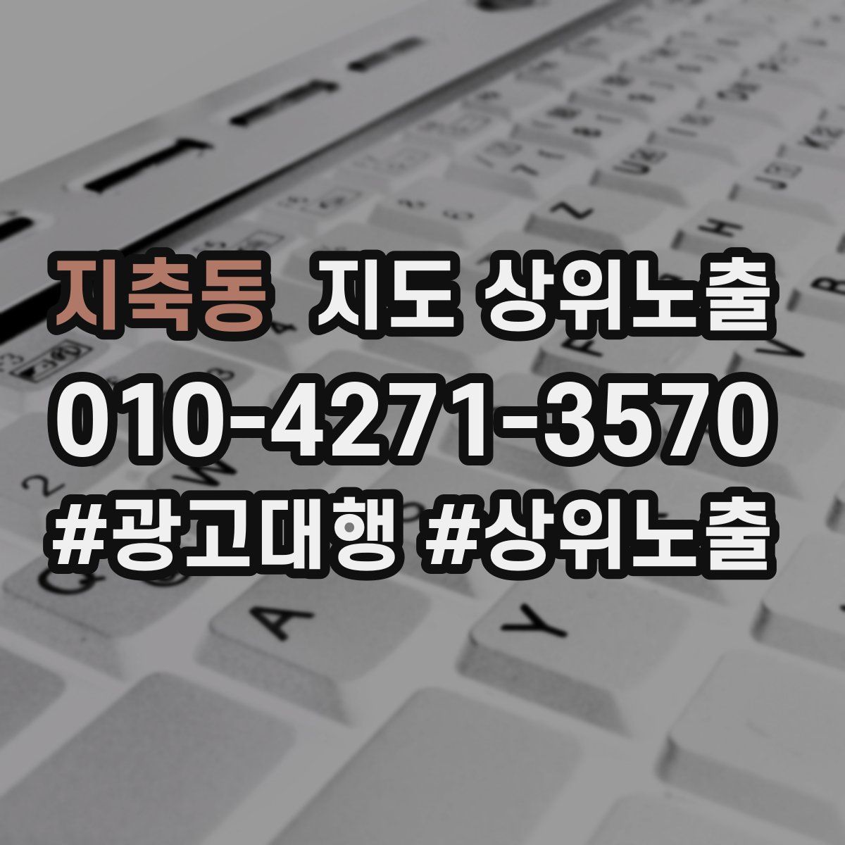 지축동 지도 상위 노출