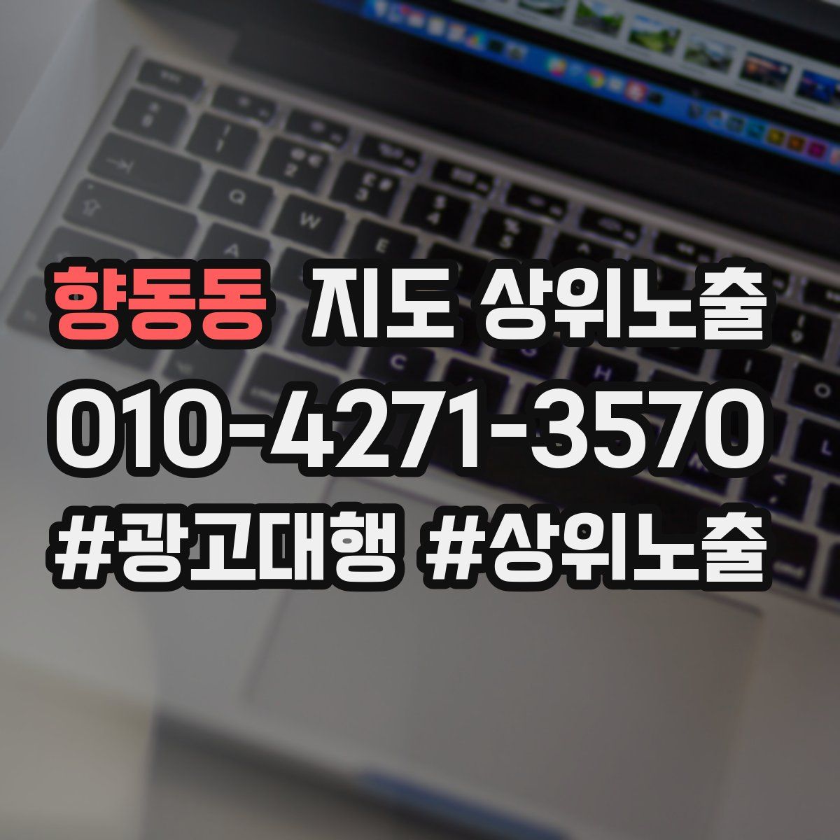 향동동 지도 상위 노출