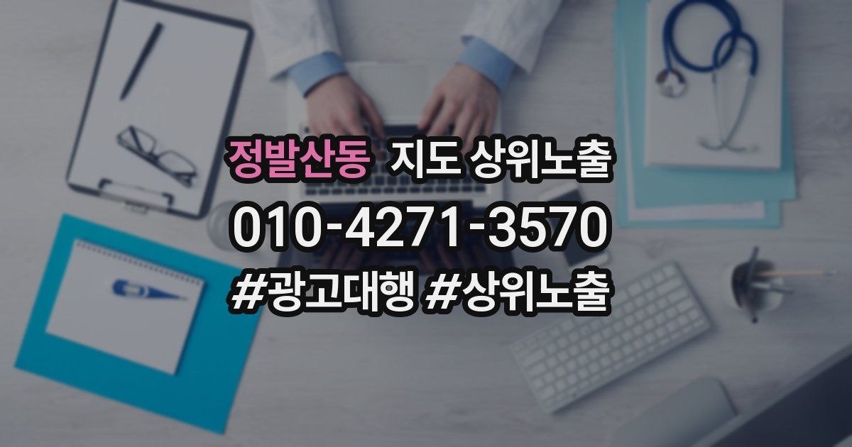 정발산동 지도 상위 노출