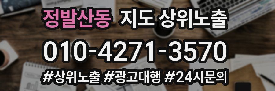 정발산동 지도 상위 노출