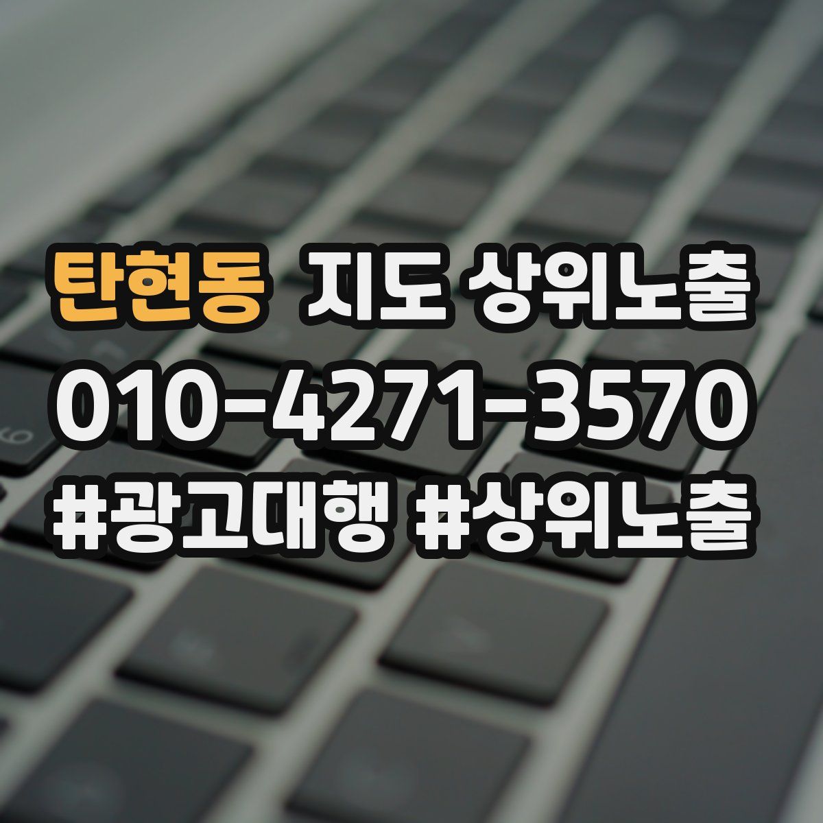 탄현동 지도 상위 노출