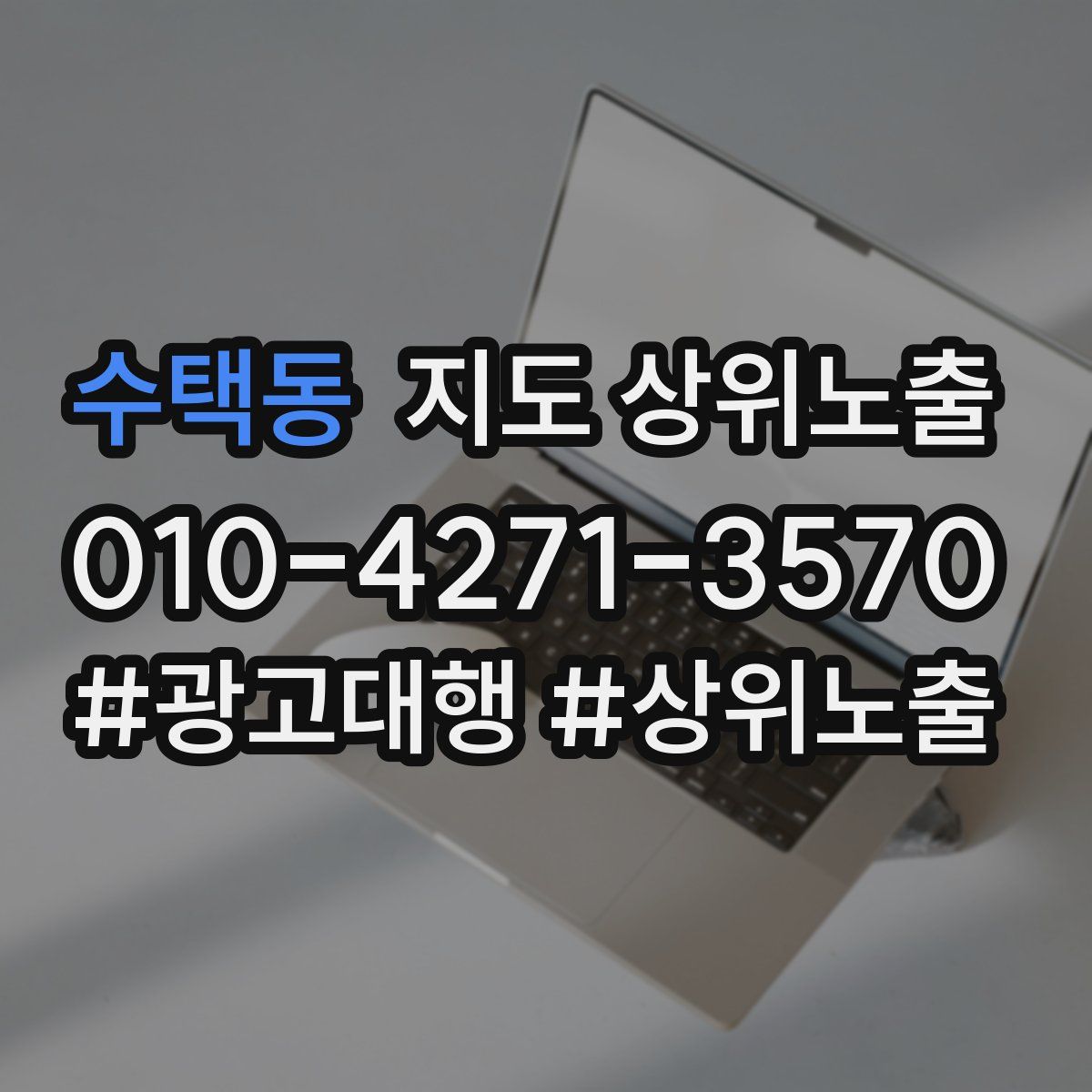 수택동 지도 상위 노출