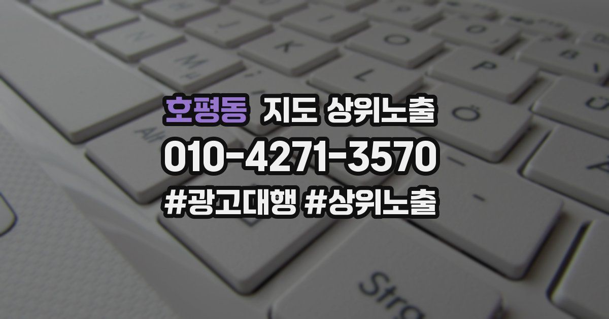 호평동 지도 상위 노출