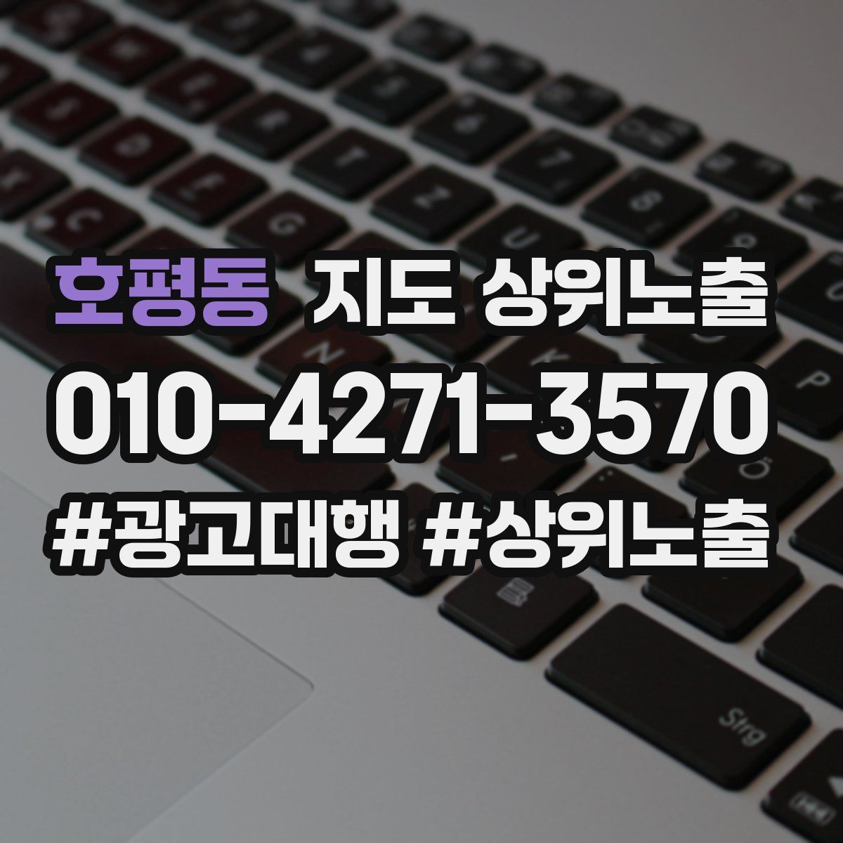 호평동 지도 상위 노출