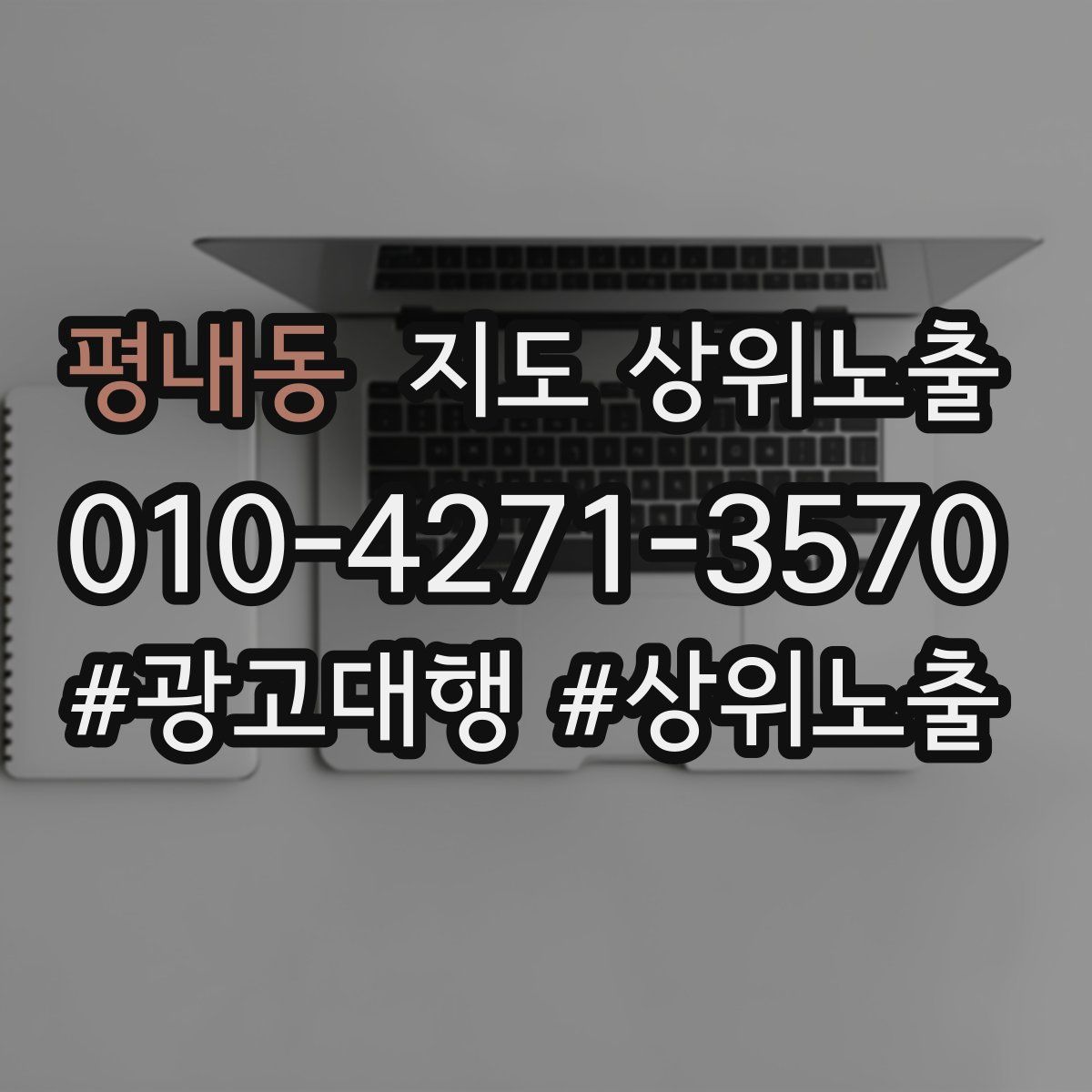 평내동 지도 상위 노출