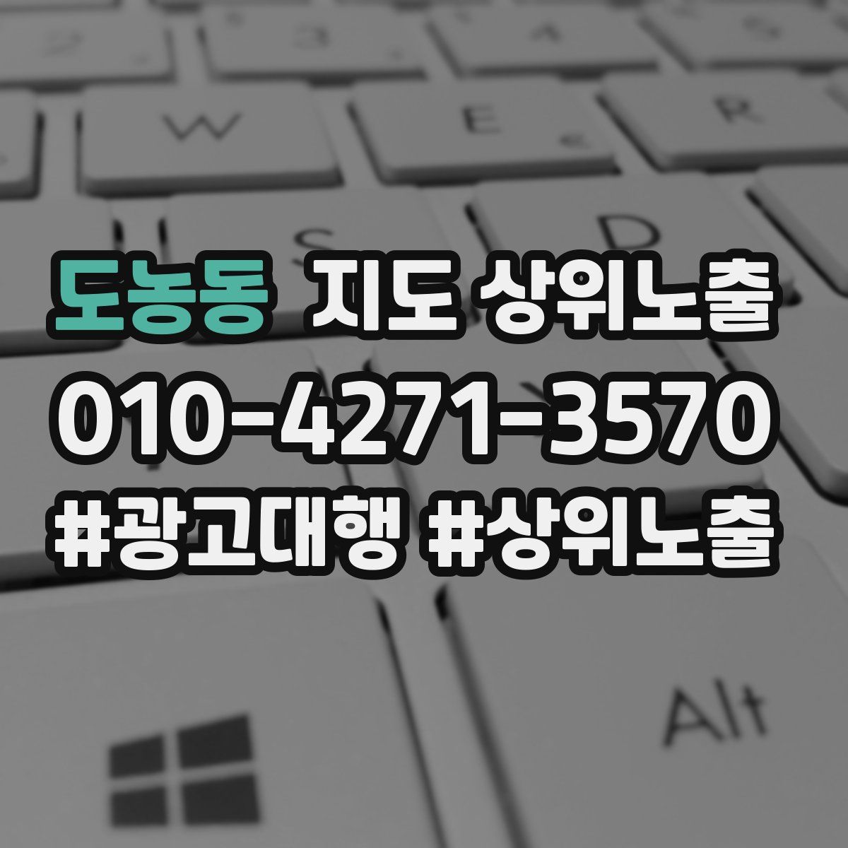 도농동 지도 상위 노출
