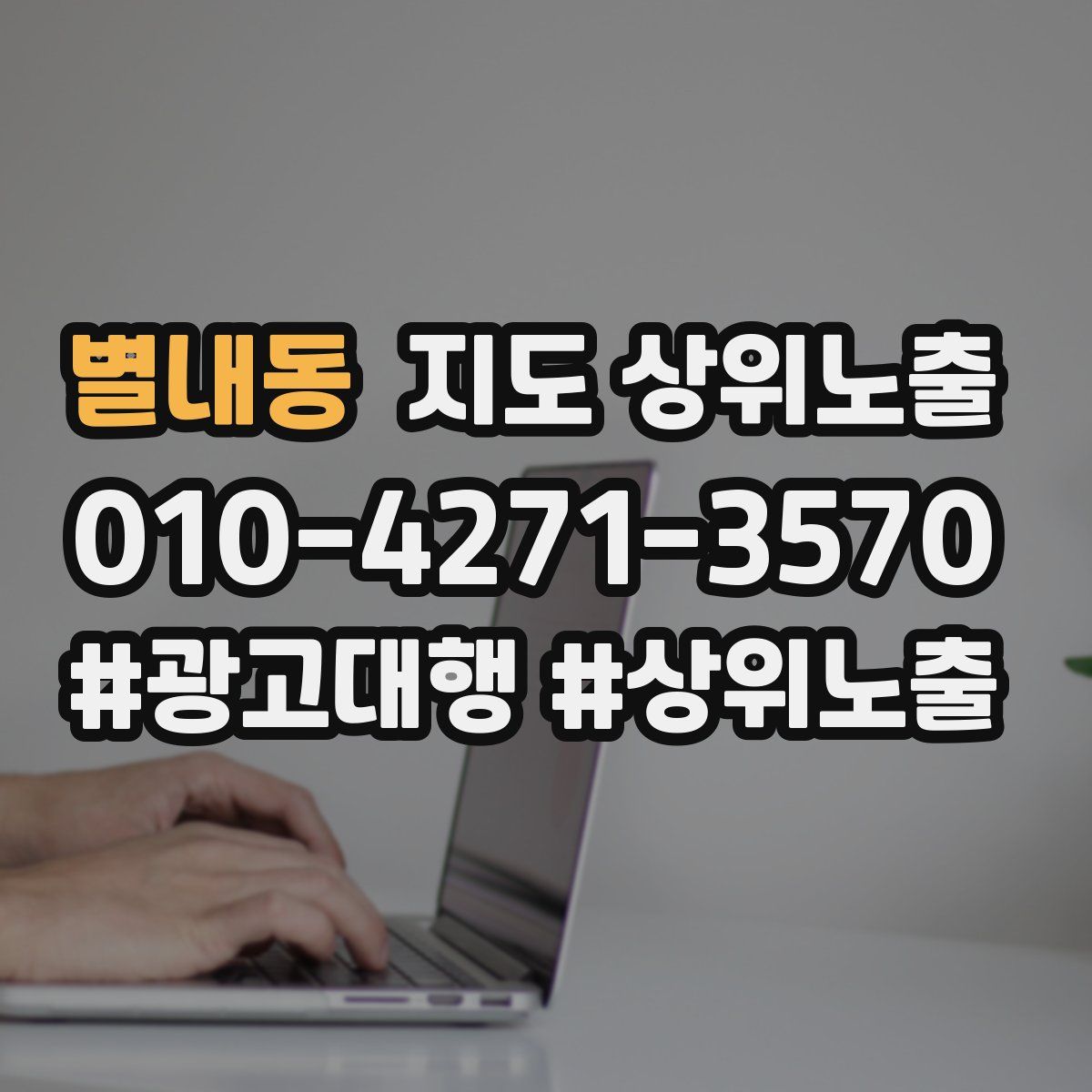 별내동 지도 상위 노출