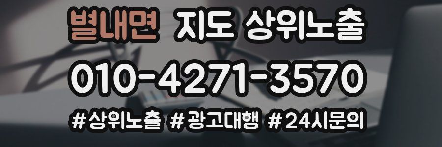 별내면 지도 상위 노출