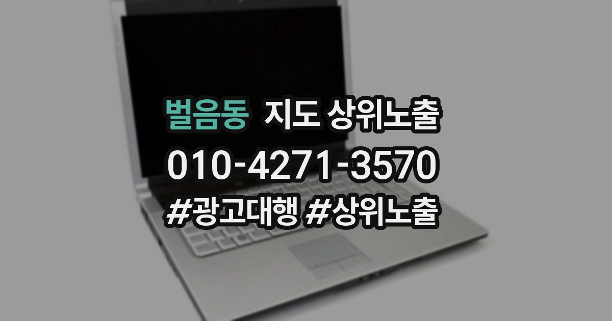 벌음동 지도 상위 노출