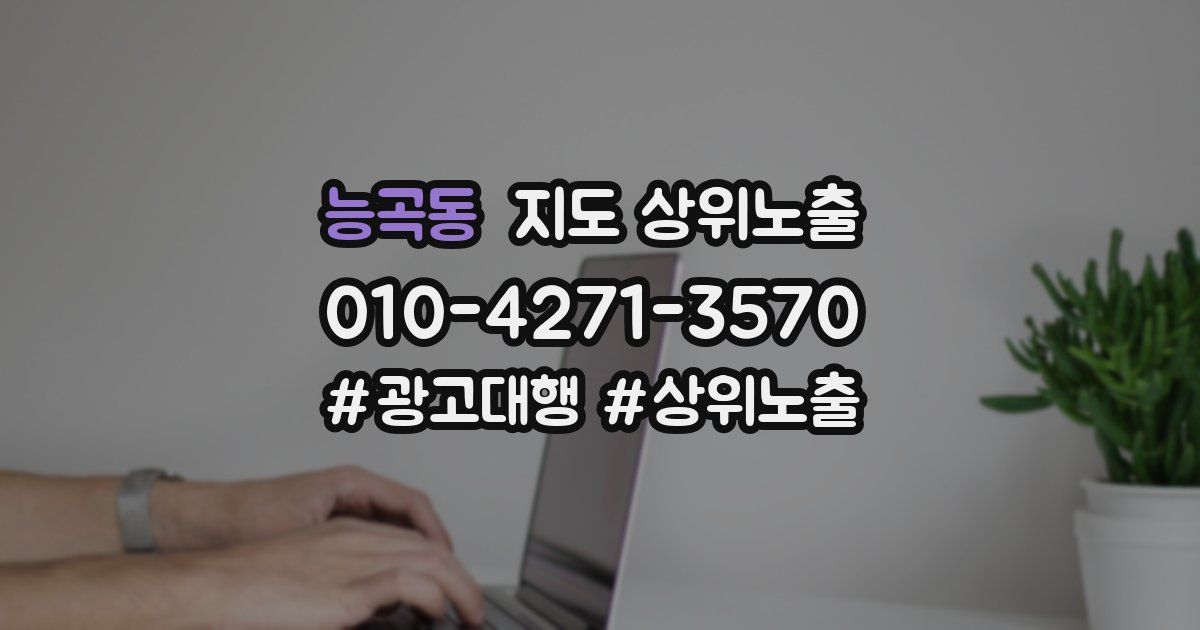 능곡동 지도 상위 노출