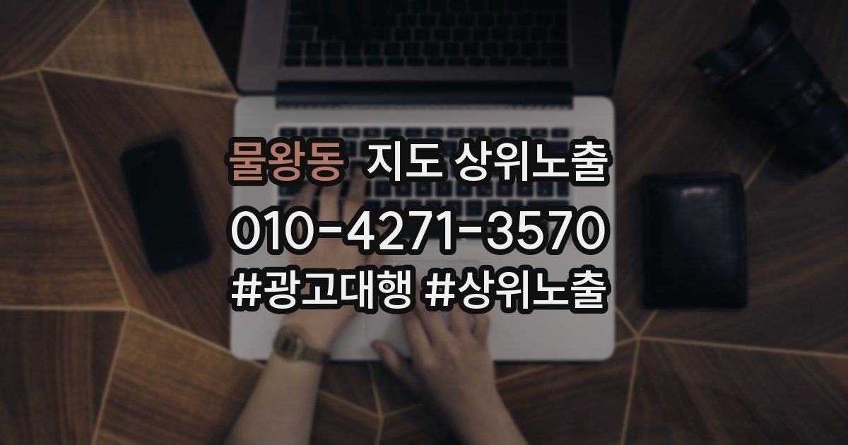 물왕동 지도 상위 노출