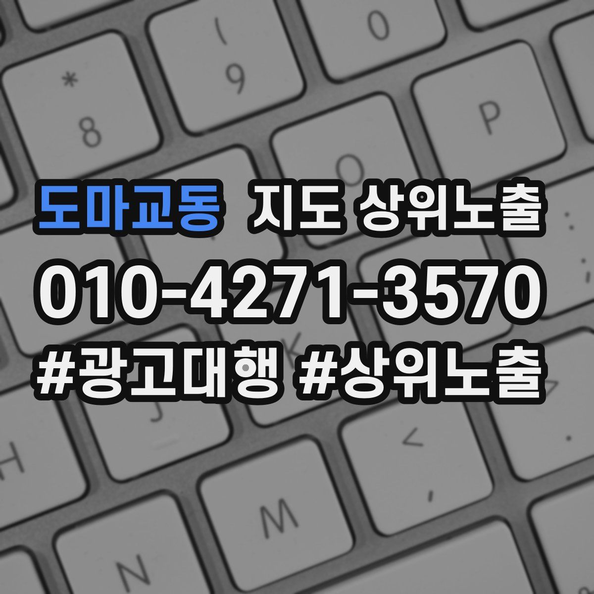 도마교동 지도 상위 노출