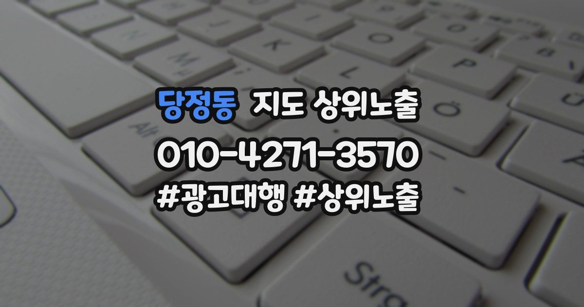 당정동 지도 상위 노출