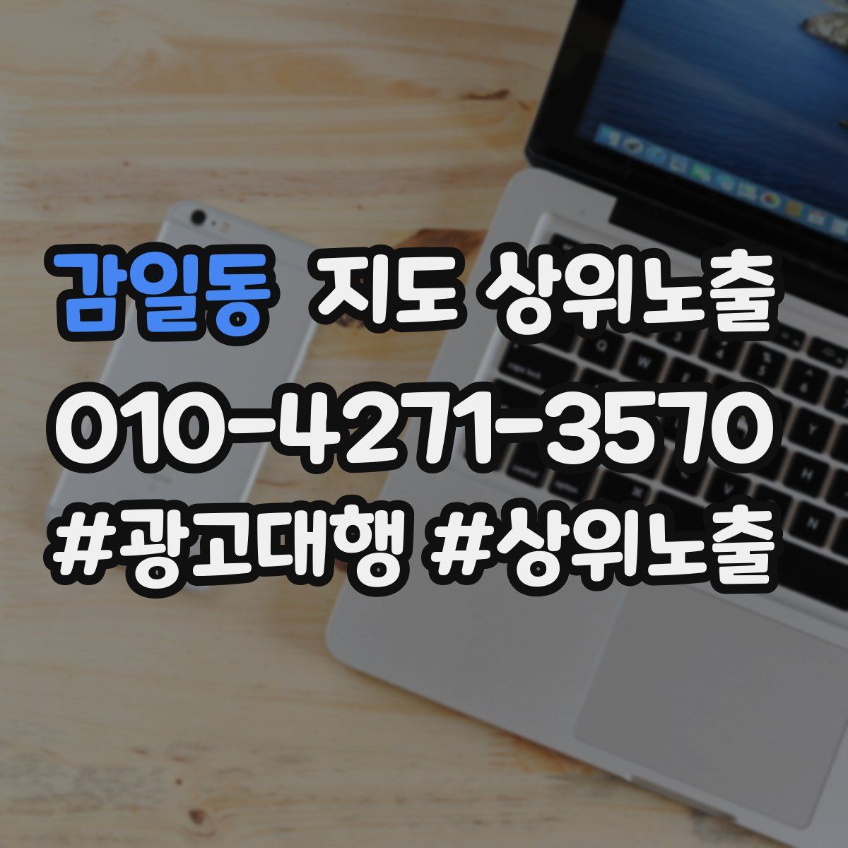 감일동 지도 상위 노출