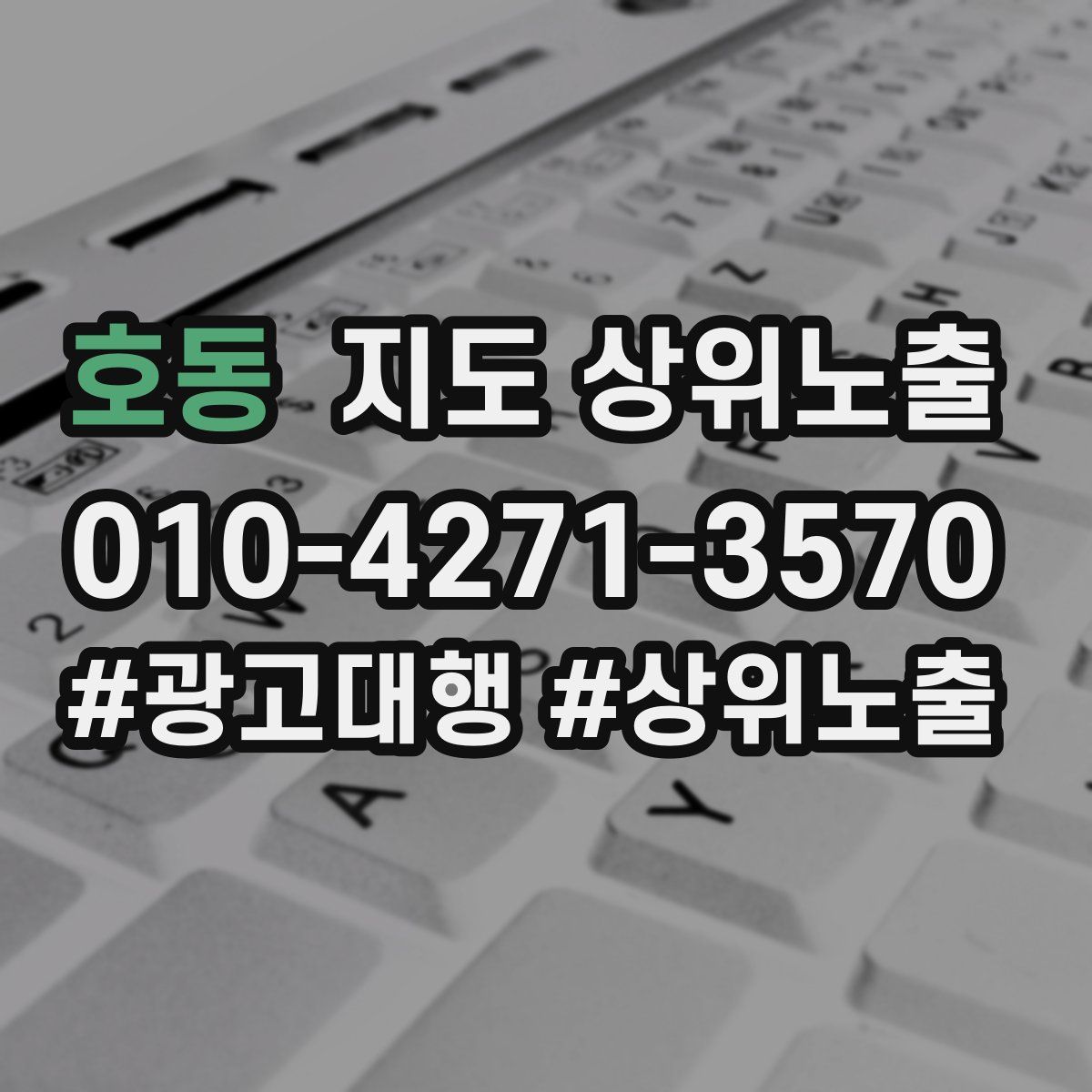 호동 지도 상위 노출