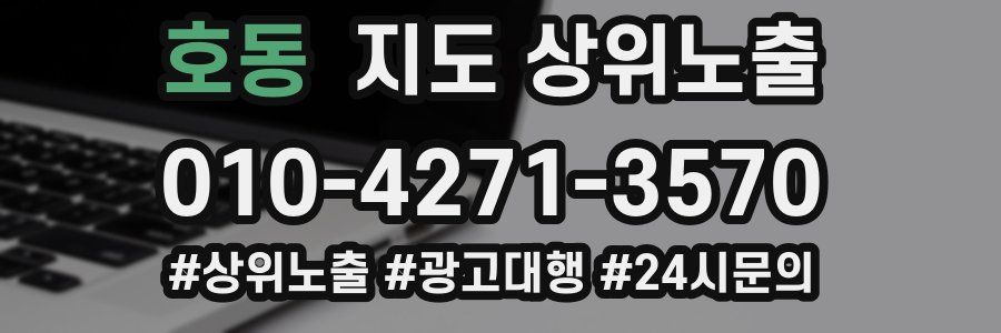 호동 지도 상위 노출