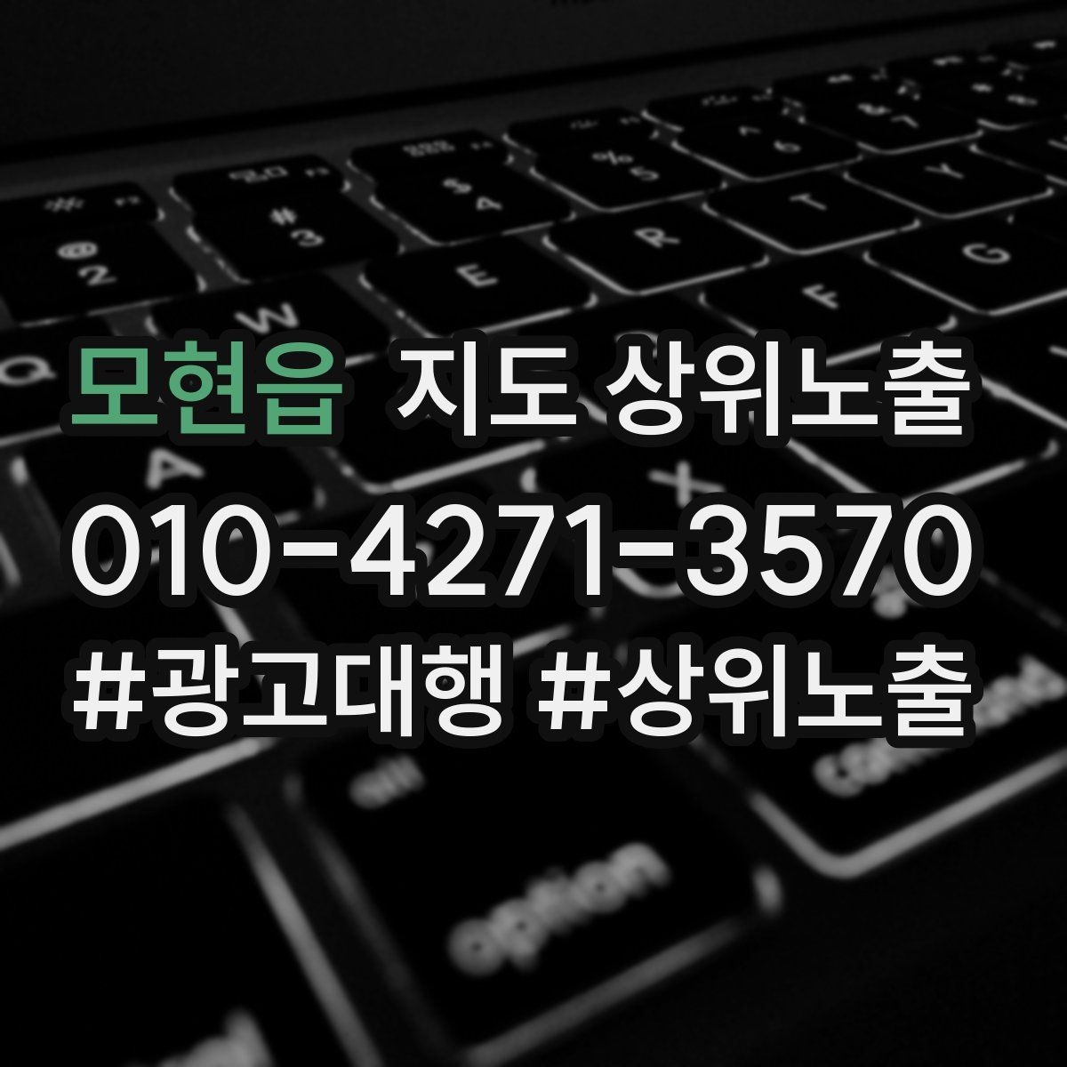 모현읍 지도 상위 노출