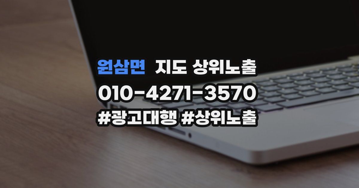 원삼면 지도 상위 노출