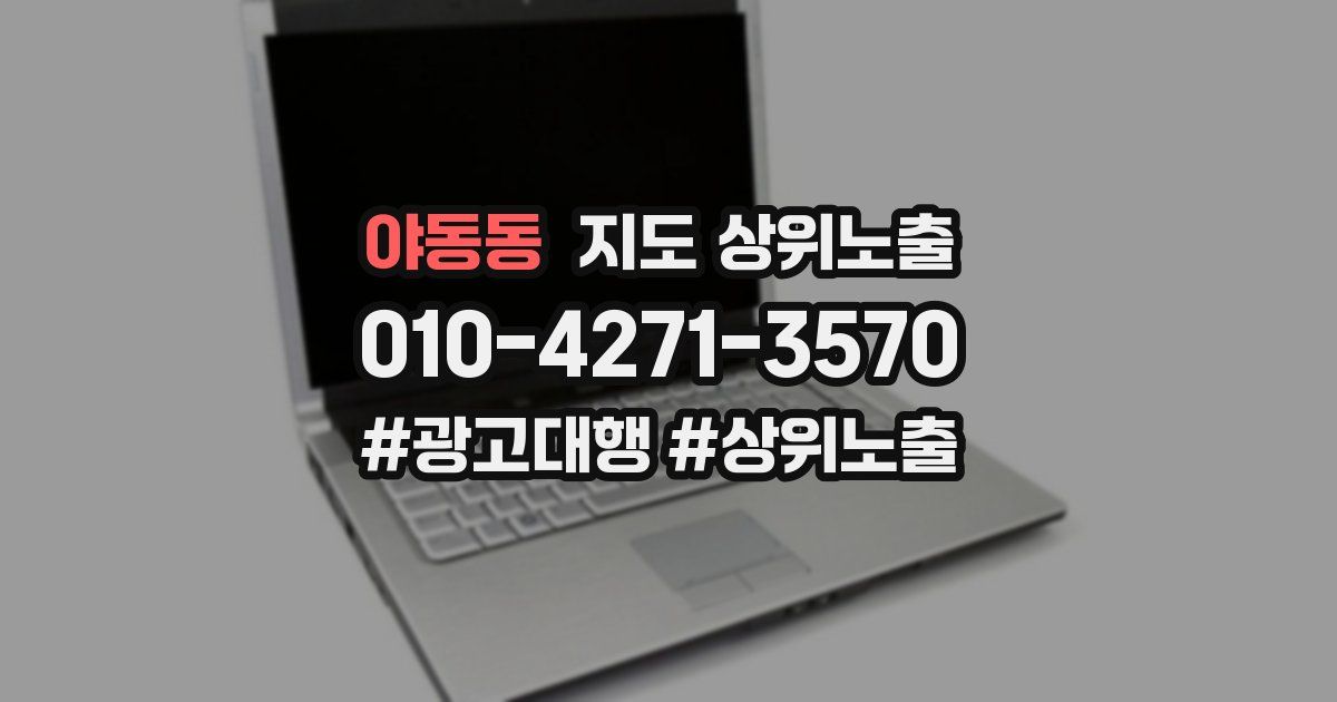 야동동 지도 상위 노출