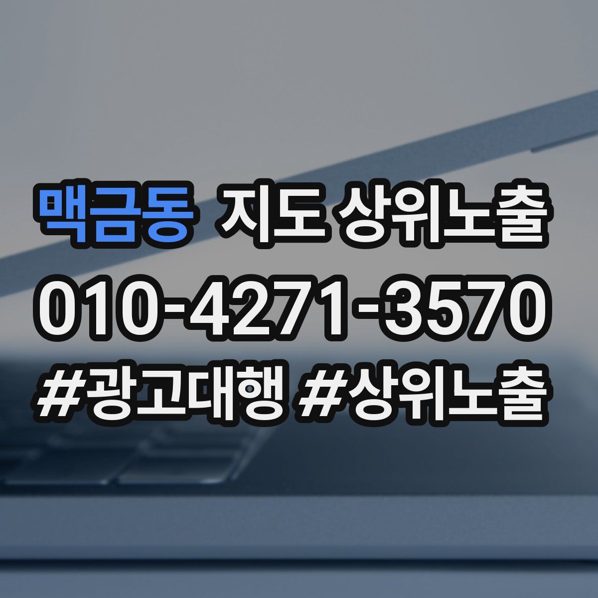 맥금동 지도 상위 노출