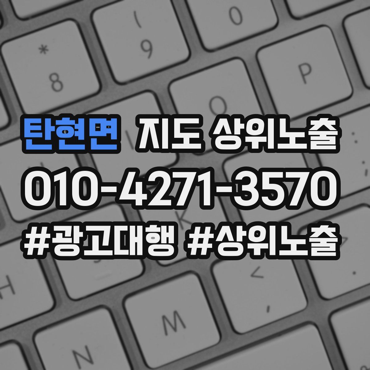 탄현면 지도 상위 노출