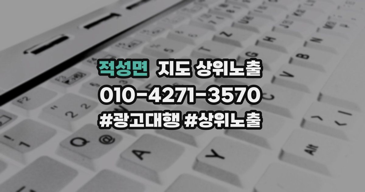 적성면 지도 상위 노출