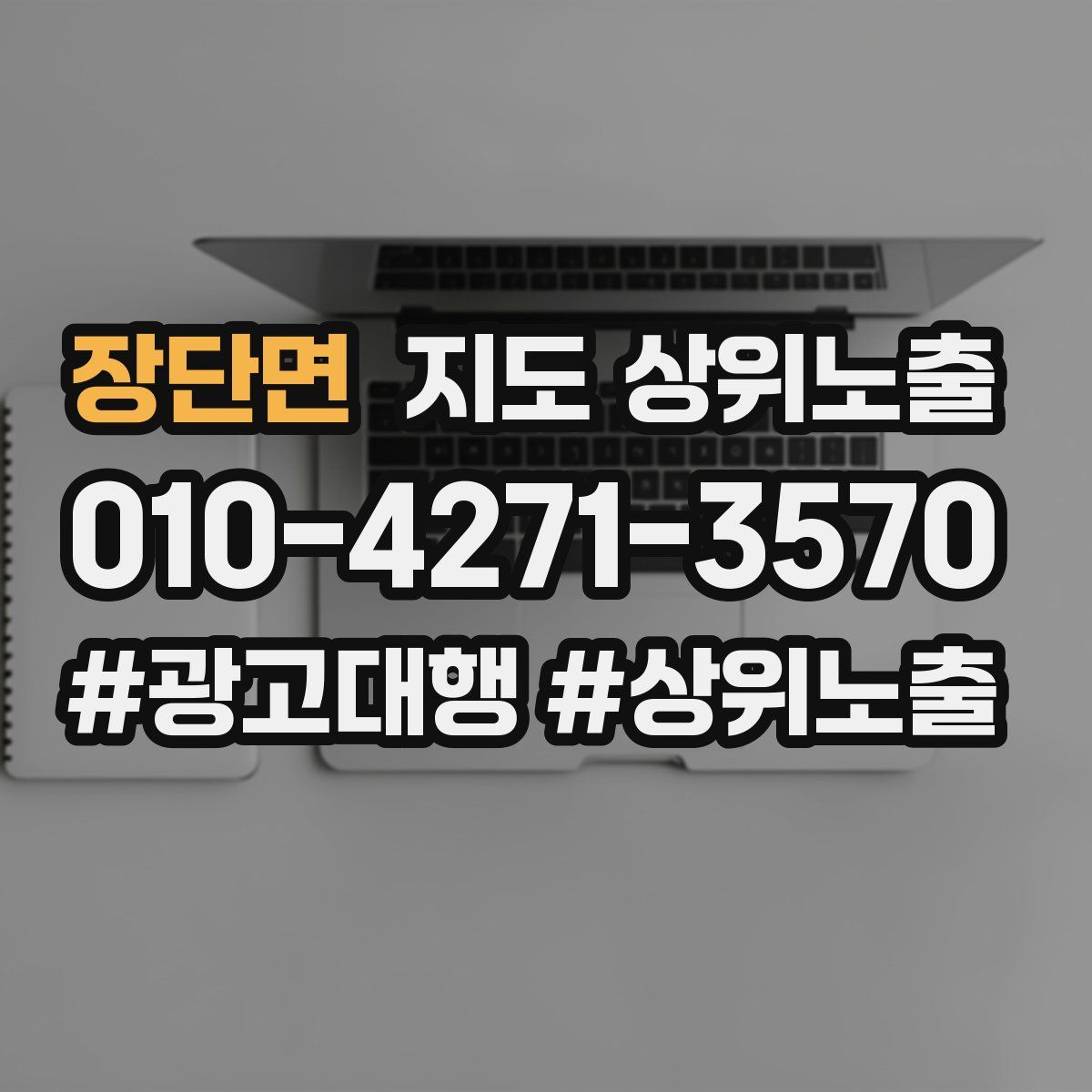 장단면 지도 상위 노출