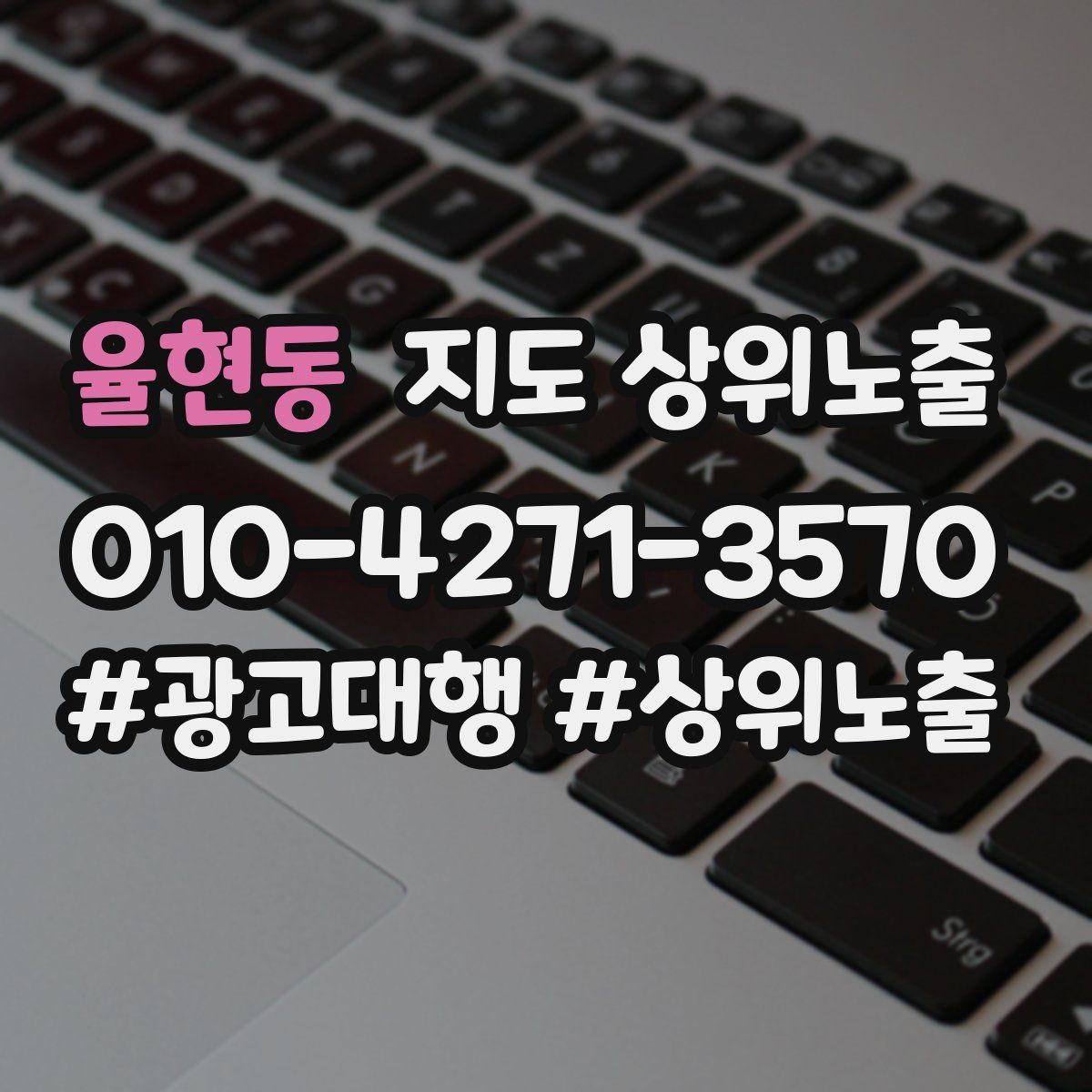 율현동 지도 상위 노출