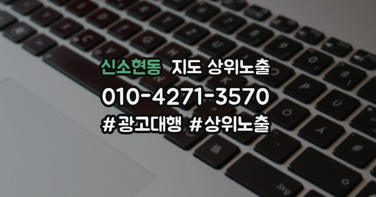 신소현동 지도 상위 노출