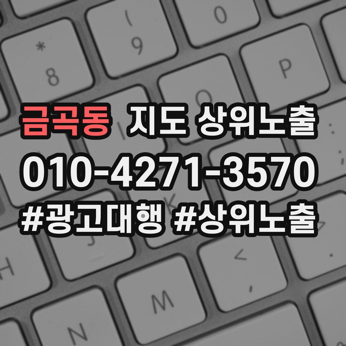 금곡동 지도 상위 노출