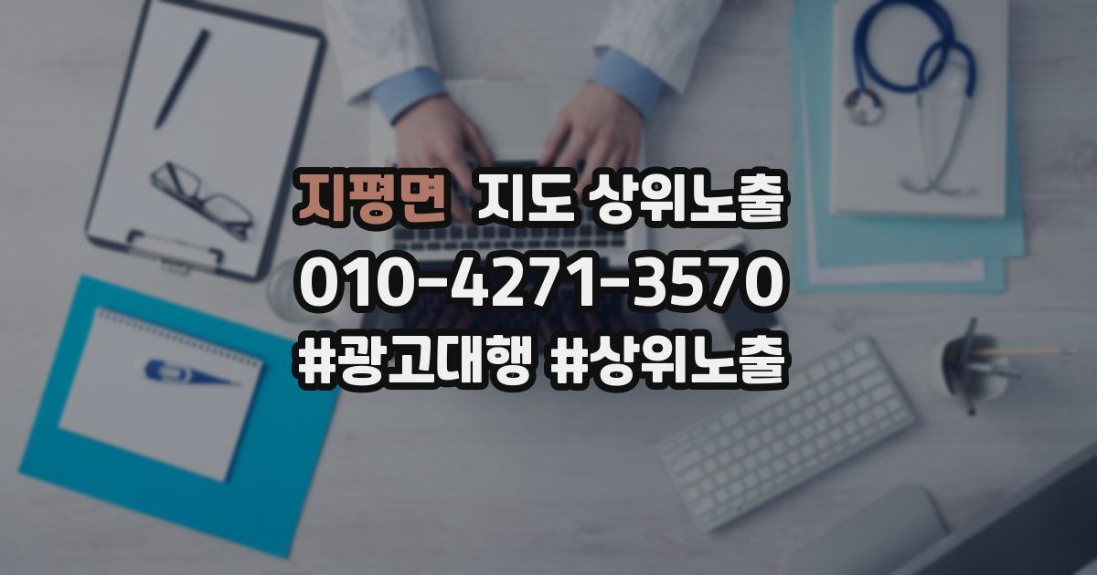 지평면 지도 상위 노출
